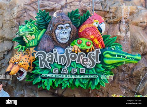 Restaurant cafe rainforest hi-res stock photography and images - Alamy