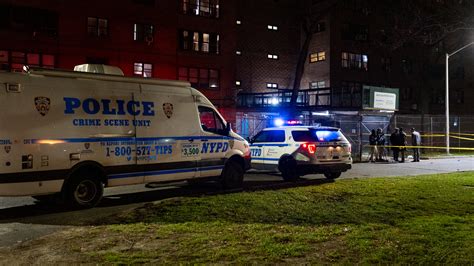 Homicides and Shootings Fell in New York City as Felony Assaults Rose - The New York Times