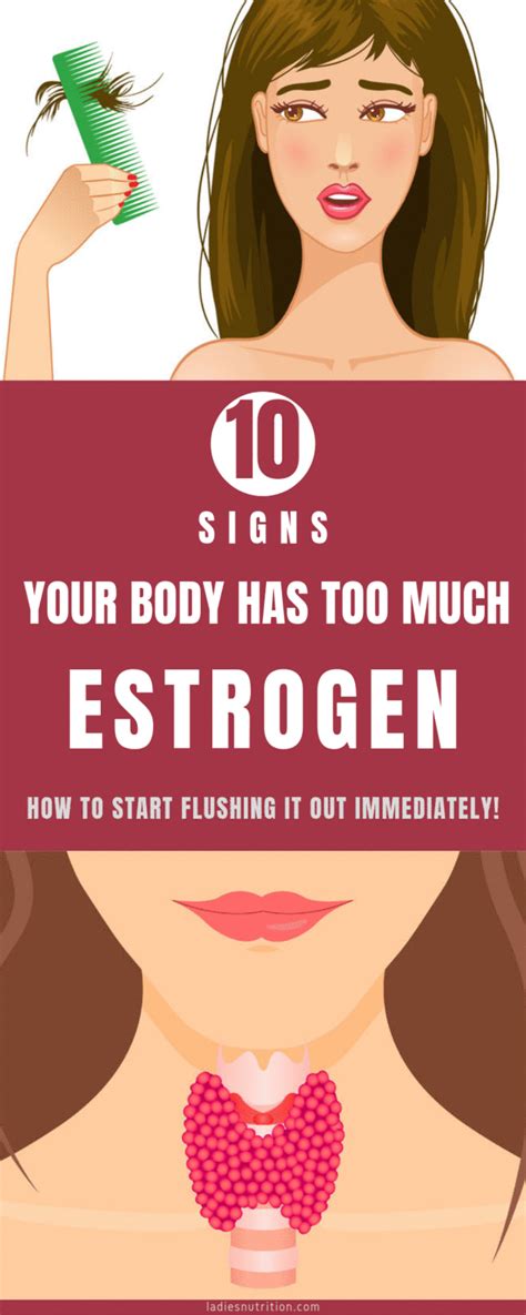 10 Symptoms of Estrogen Dominance and How to Treat This Condition | Estrogen dominance ...