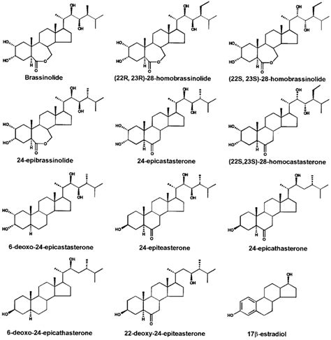 Chemical structure of the steroids used in this study. | Download ...