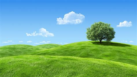 Grass Hill Wallpapers - Top Free Grass Hill Backgrounds - WallpaperAccess