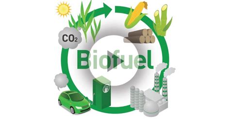 Is the biofuel process a complete cycle? | Morgridge Institute for Research