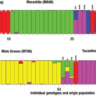 STRUCTURE inferred membership coefficient for multilocus microsatellite... | Download Scientific ...