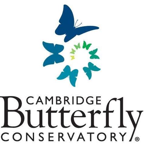 Cambridge Butterfly Conservatory Reopens