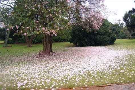 Durban Botanic Gardens, Durban, South Africa