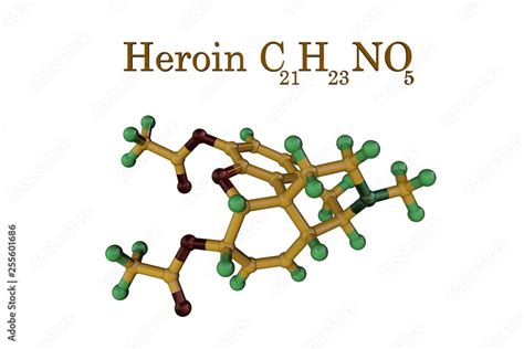 Structural chemical formula and model of heroin or diamorphine. Heroin is a plant opioid ...