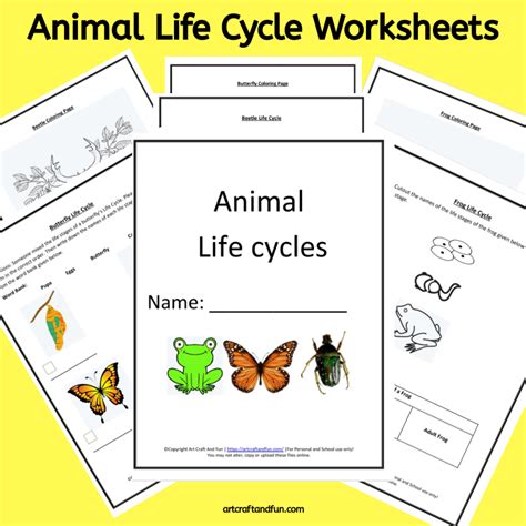 Free Printable Animal Life Cycle Worksheets