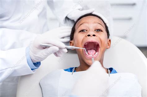 Boy having oral check-up - Stock Image - F015/7461 - Science Photo Library