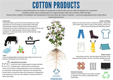 Cotton Australia | Education videos