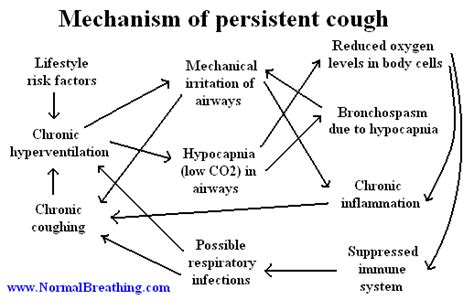 Mechanism of persistent cough and dry cough | Persistent cough, Dry ...