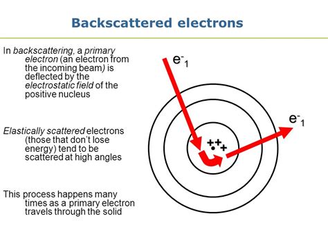 Backscattering di Particelle Beta | PhysicsOpenLab