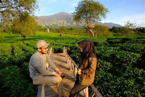 Kebun Teh Wonosari Malang, Camping Bermalam di Tengah Kebun Teh Halaman all - Kompas.com