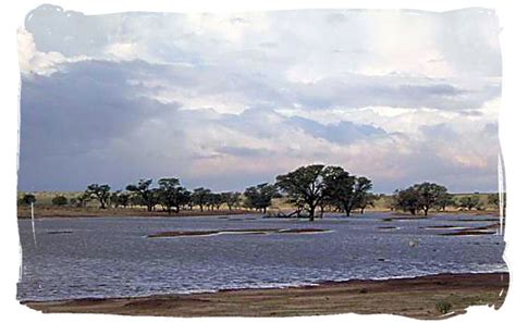 The Kalahari after a few of those rare heavy thunder storms - Kalahari Desert Climate in the ...