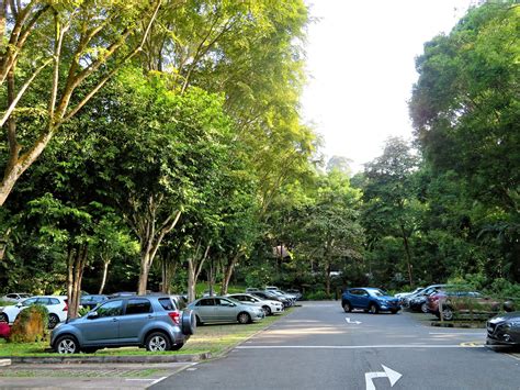 Bukit Timah Hill – Hiking the Green Isle