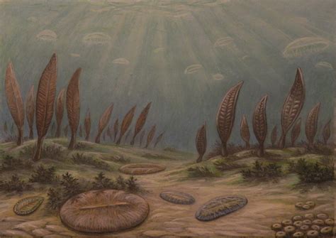 Precambrian period. by ABelov2014 on DeviantArt