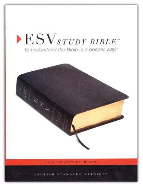 ESV Study Bible - Genuine Leather, Black – Celebrate Faith