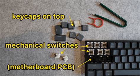 Why Are Mechanical Keyboards Better? 7 Pros And Cons