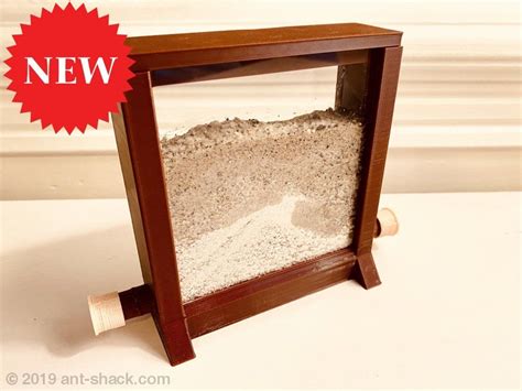 Vertical Ant Nest “Miami Beach” | Ant habitat, Ant species, Formicarium