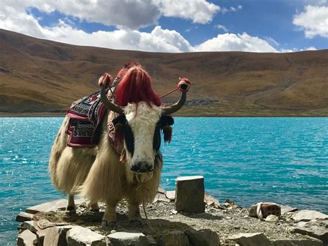 Yamdrok Lake or Namtso Lake: which lake to visit in Tibet