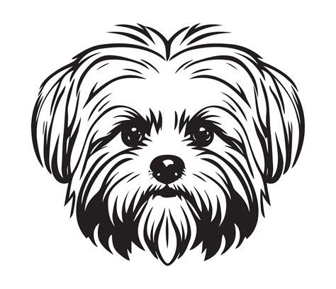 Maltese Face, Silhouette Dog Face, black and white Maltese vector 22925111 Vector Art at Vecteezy