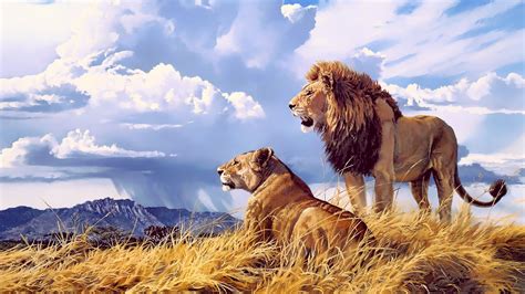 3840x2160 African Lion And Lioness 4k Wallpaper Hd Animals 4k | Images and Photos finder