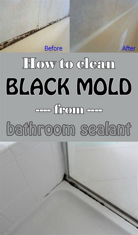 How to Clean Black Mold from Bathroom Sealant | Clean black mold, Toilet cleaning, Bathroom sealants