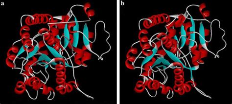 Predicted 3D structure of glycosyltransferase. a 3D structure of ...