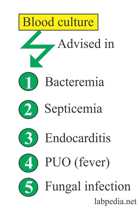 Blood Culture – Labpedia.net