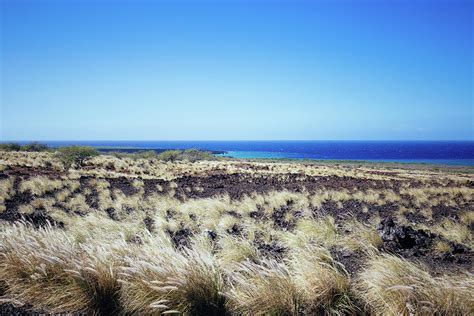 Kohala Coast Photograph by Ashlyn Gehrett | Fine Art America