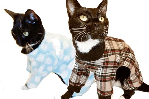 Win a Set of Cat’s Pajamas from Nip and Bones. - Catster