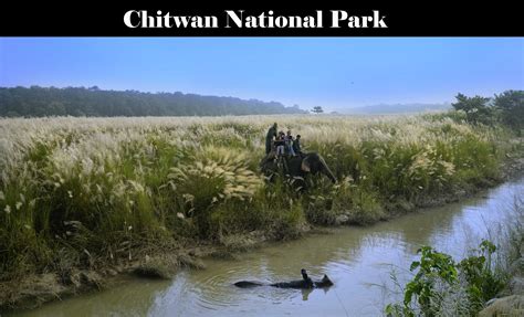 Chitwan National Park | Pugdundee Safaris blog