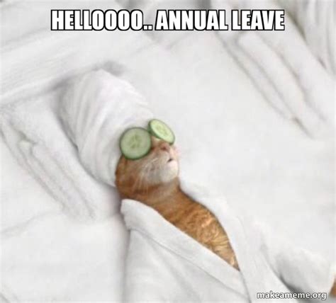 Helloooo.. Annual Leave - Pampered Cat Meme Meme Generator