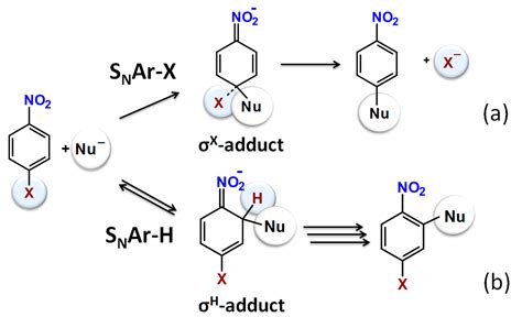 How Do Aromatic Nitro Compounds React with Nucleophiles? Theoretical Description Using ...