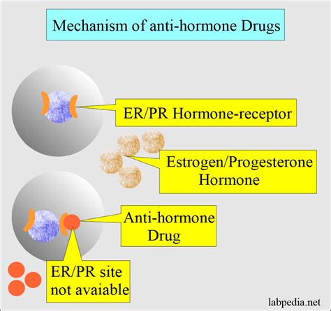 Estrogen/Progesterone Receptors (ER/PR Receptors) - Labpedia.net