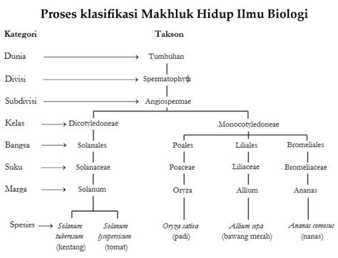 Proses Klasifikasi Makhluk Hidup Pada Ilmu Biologi