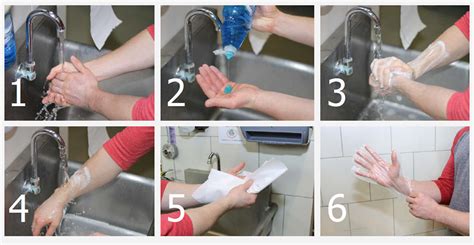 "during Hand-washing Food Handlers Should Scrub Their Hands And Arms ...