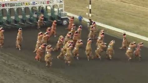 Watch: T-Rex race proves popular on social media