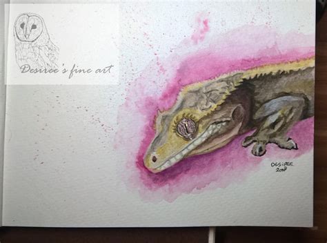 Crested gecko sketch by DesireeGaalFineArt on DeviantArt