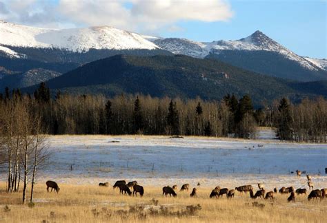 Browse the Divide, Colorado Neighborhood