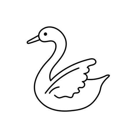 100+ Baby Swan Drawing Stock Photos, Pictures & Royalty-Free Images ...