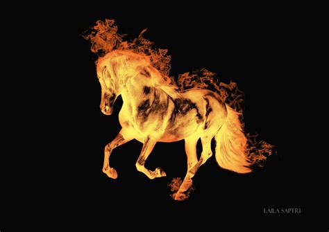 Fire shadow on Behance