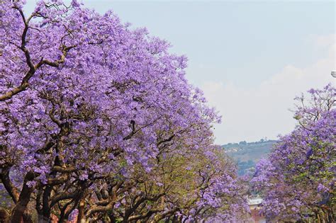 Seasons in South Africa: Weather and Climate