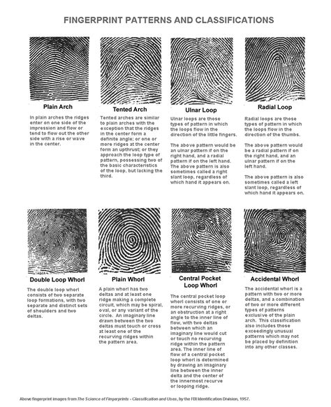 FINGERPRINTS WORLD MAP - Global Distribution of Whorls, Loops & Arches!