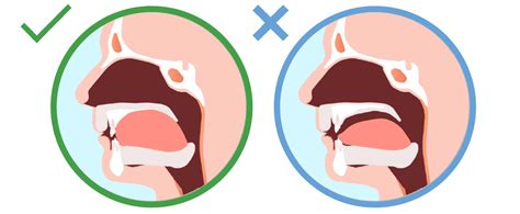 Where Should Your Tongue Rest? Proper Tongue Position Explained ...