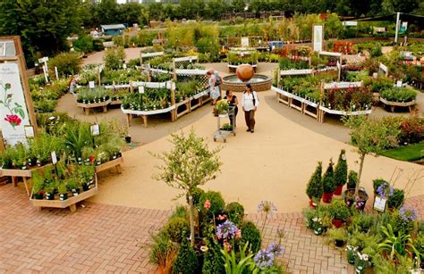 Millbrook Garden Centre Crowborough in nursery housing plan | HortWeek