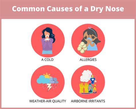 Dry Nose: Causes, Symptoms, and Treatments