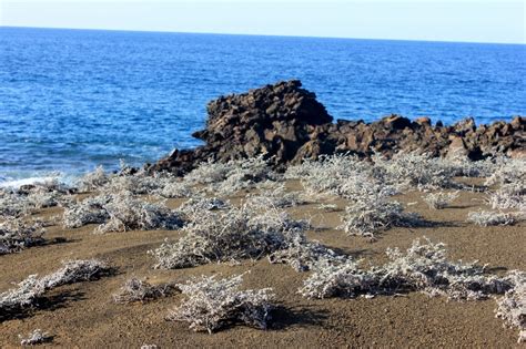 Hike to the top of Bartolome Island in the Galapagos