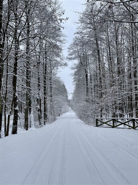 Beautiful winter in Poland - PolandDaily24.com