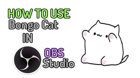 HOW TO USE BONGO CAT FOR OBS STUDIO - YouTube