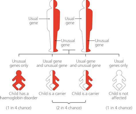 Sickle Cell Thalassemia Disease